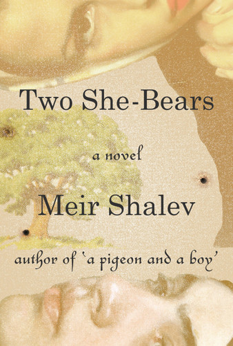 Two She-Bears: A Novel book cover by Meir Shalev