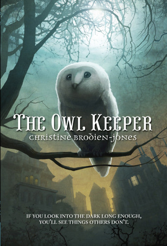 The Owl Keeper book cover by Christine Brodien-Jones