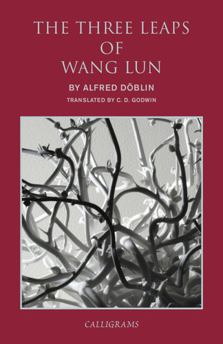 The Three Leaps of Wang Lun: A Chinese Novel book cover by Alfred Doblin