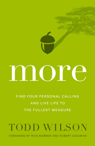 More: Find Your Personal Calling and Live Life to the Fullest Measure book cover by Todd Wilson