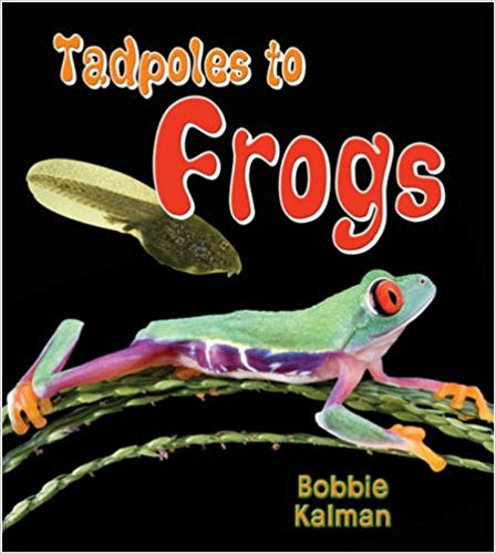 Tadpoles to Frogs ( It's Fun to Learn about Baby Animals (Paperback) ) Cover