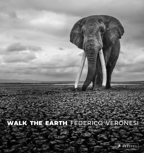 Walk the Earth: Photographs of Africa's Last Great Elephants book cover by Federico Veronesi