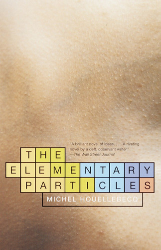 The Elementary Particles (Vintage International) book cover by Michel Houellebecq
