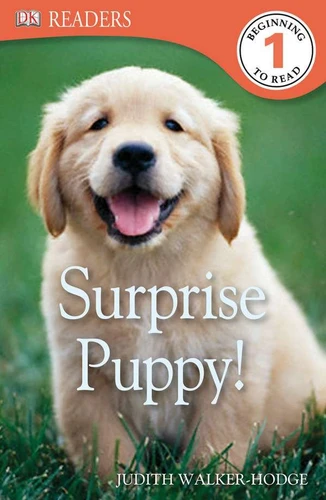 DK Readers L1: Surprise Puppy (DK Readers Level 1) book cover by Judith Walker-Hodge