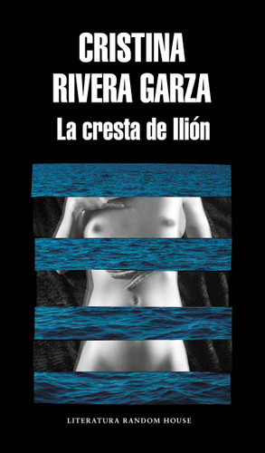 La cresta de Ilión / The Iliac Crest book cover by Cristina Rivera Garza