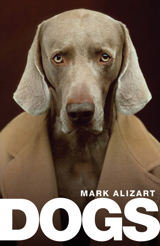 Dogs: A Philosophical Guide to Our Best Friends book cover by Mark Alizart