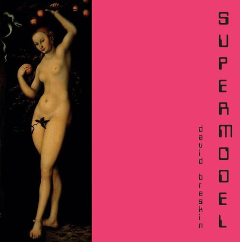 Supermodel book cover by David Breskin