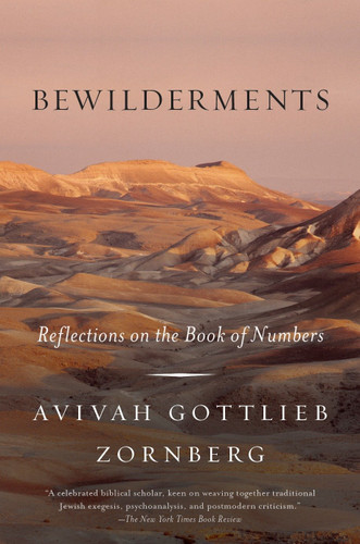 Bewilderments: Reflections on the Book of Numbers book cover by Avivah Gottlieb Zornberg