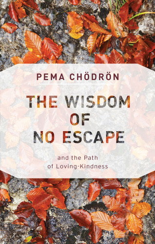 The Wisdom of No Escape: And the Path of Loving-Kindness book cover by Pema Chodron