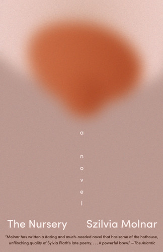 The Nursery: A Novel book cover by Szilvia Molnar