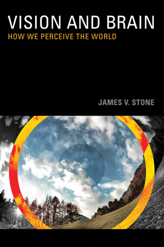 Vision and Brain: How We Perceive the World book cover by James V. Stone