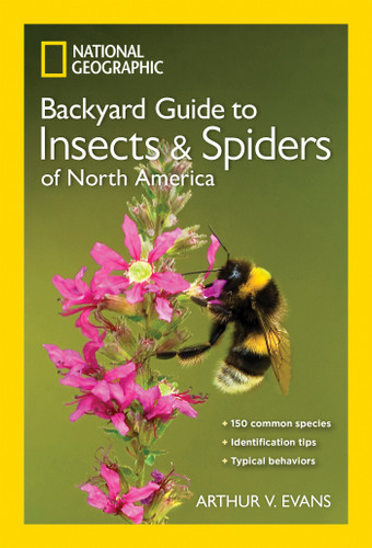 National Geographic Backyard Guide to Insects and Spiders of North America (National Geographic Backyard Guides) book cover by Arthur V. Evans