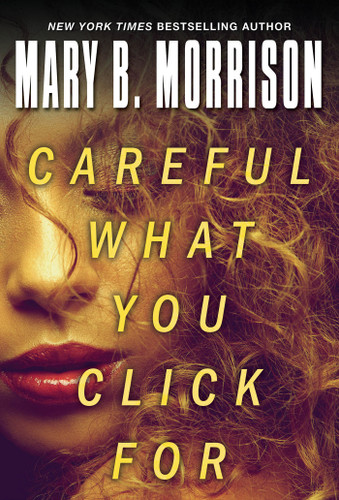 Careful What You Click For book cover by Mary B. Morrison