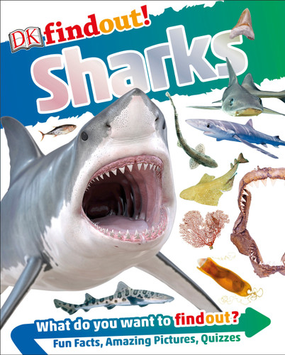 DKfindout! Sharks (DK findout!) book cover by DK