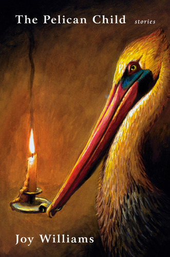 The Pelican Child: Stories book cover by Joy Williams