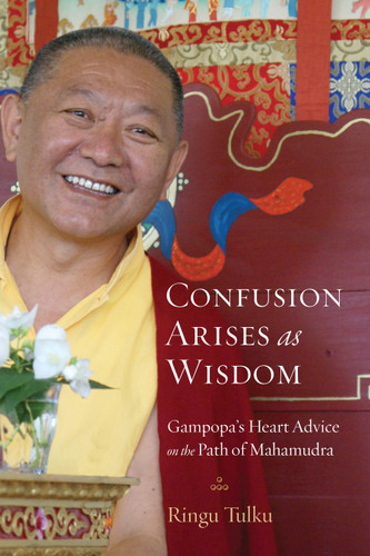 Confusion Arises as Wisdom: Gampopa's Heart Advice on the Path of Mahamudra book cover by Ringu Tulku