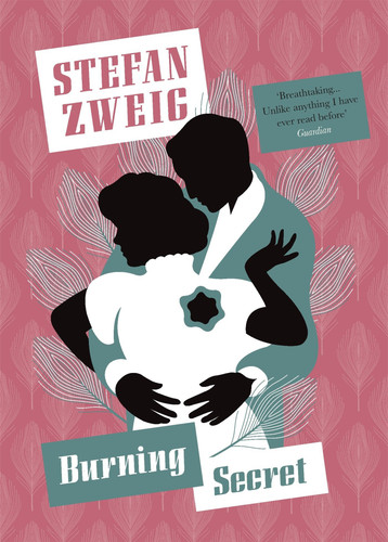 Burning Secret (Pushkin Collection) book cover by Stefan Zweig