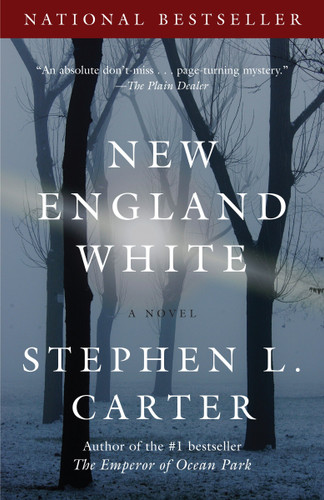 New England White: A Novel (Vintage Contemporaries) book cover by Stephen L. Carter