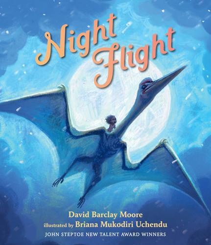 Night Flight book cover by David Barclay Moore