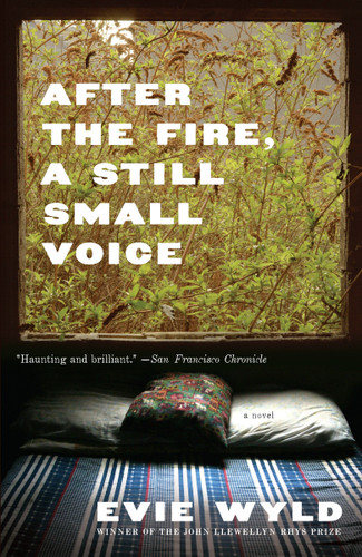 After the Fire, a Still Small Voice book cover by Evie Wyld