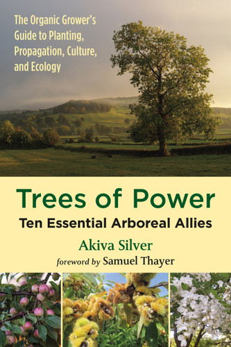 Trees of Power: Ten Essential Arboreal Allies book cover by Akiva Silver