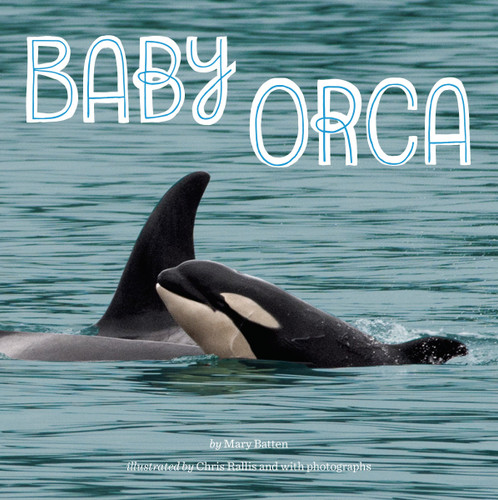Baby Orca book cover by Mary Batten
