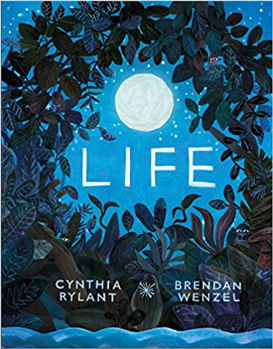 Life Cover