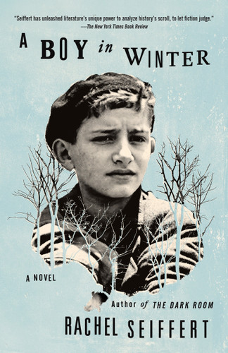 A Boy in Winter: A Novel (Vintage International) book cover by Rachel Seiffert