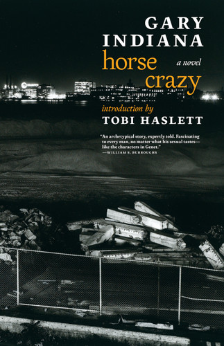 Horse Crazy: A novel book cover by Gary Indiana