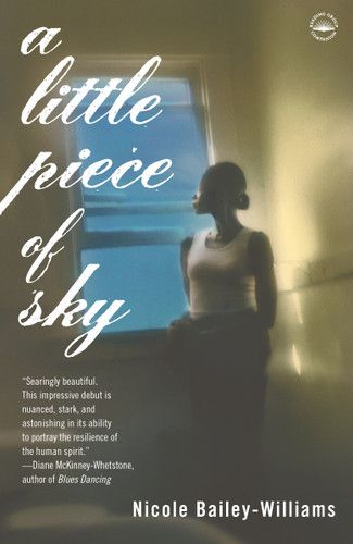 A Little Piece of Sky: A Novel book cover by Nicole Bailey Williams