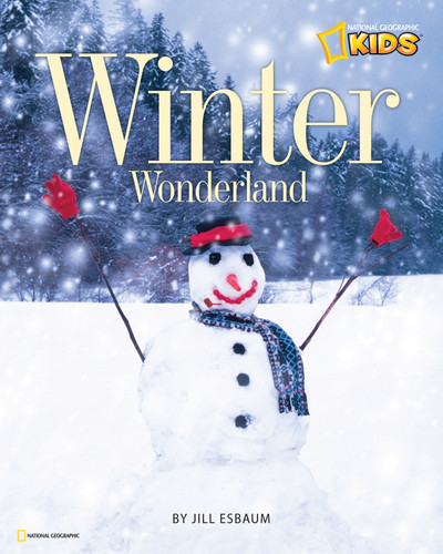 Winter Wonderland (Picture the Seasons) book cover by Jill Esbaum