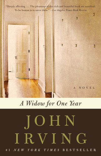 A Widow for One Year: A Novel book cover by John Irving