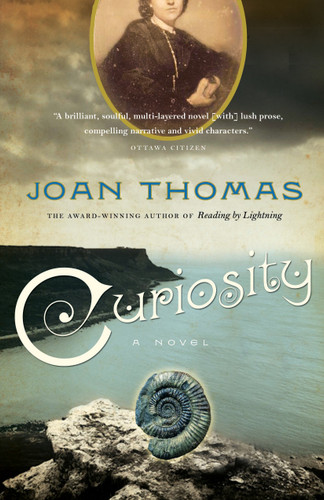 Curiosity book cover by Joan Thomas