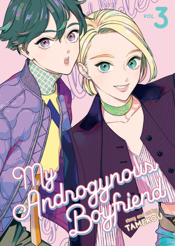 My Androgynous Boyfriend Vol. 3 (My Androgynous Boyfriend) book cover by Tamekou