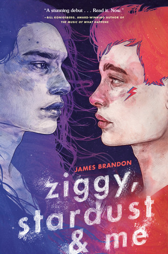 Ziggy, Stardust and Me book cover by James Brandon