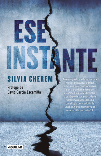 Ese Instante / That Instant book cover by Silvia Cherem