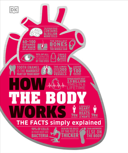How the Body Works: The Facts Simply Explained (DK How Stuff Works) book cover by DK