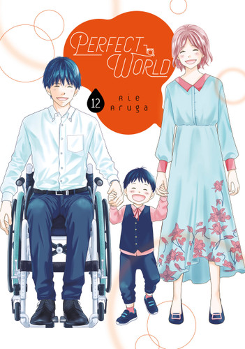 Perfect World 12 (Perfect World) book cover by Rie Aruga