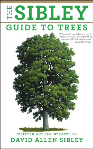The Sibley Guide to Trees (Sibley Guides) book cover by David Allen Sibley
