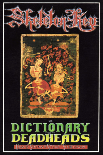 Skeleton Key: A Dictionary for Deadheads book cover by David Shenk, Steve Silberman