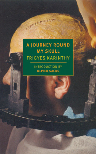 A Journey Round My Skull book cover by Frigyes Karinthy