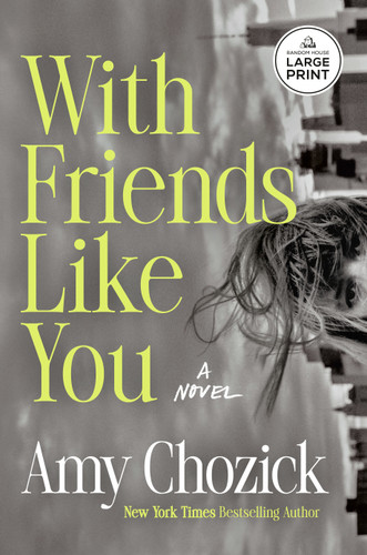 With Friends Like You: A Novel book cover by Amy Chozick