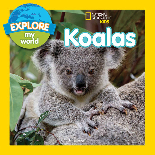 Explore My World: Koalas (Explore My World) book cover by Jill Esbaum
