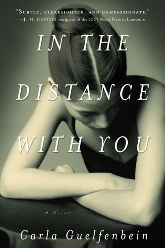 In the Distance with You: A Novel book cover by Carla Guelfenbein