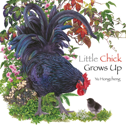 Little Chick Grows Up book cover by Yu Hongcheng