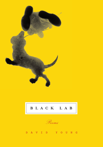 Black Lab: Poems book cover by David Young