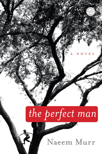 The Perfect Man: A Novel book cover by Naeem Murr
