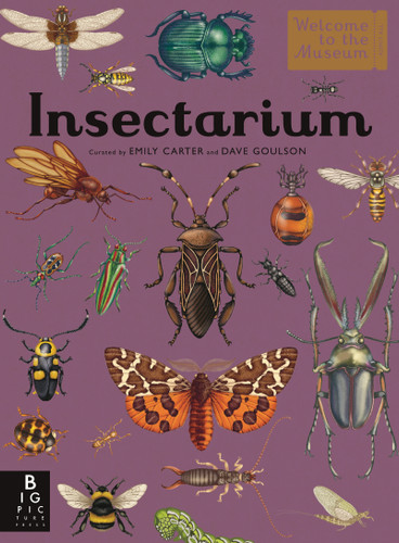 Insectarium: Welcome to the Museum (An Illustrated Junior Entomology Guide to Wild Bug Species, Biodiversity, and Nature Conservation for Kids Ages 8-12) (Welcome to the Museum) book cover by Dave Goulson