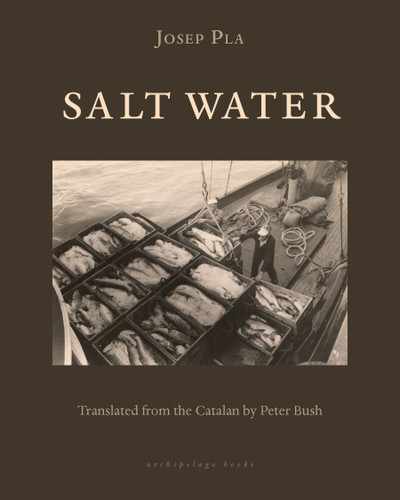 Salt Water book cover by Josep Pla