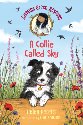 Jasmine Green Rescues: A Collie Called Sky (Jasmine Green) book cover by Helen Peters